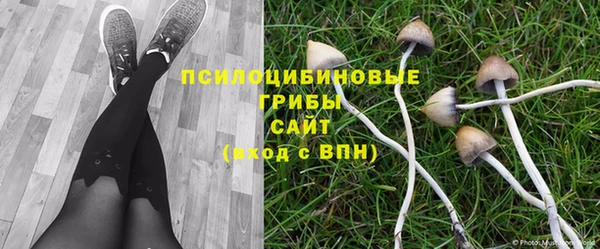 прущие крисы Осташков