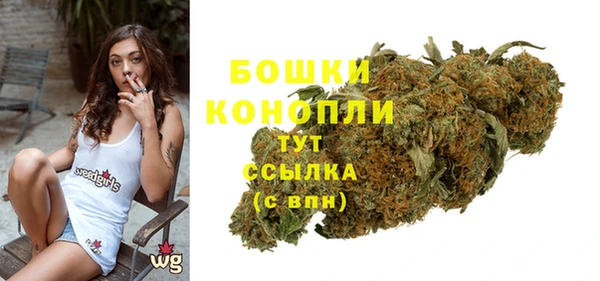 прущие крисы Осташков