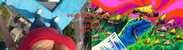 метадон Нягань