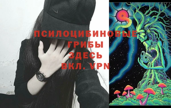 таблы Осинники