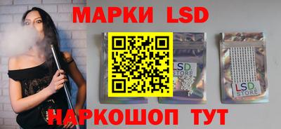 шишки Гатчина