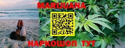 шишки Гатчина