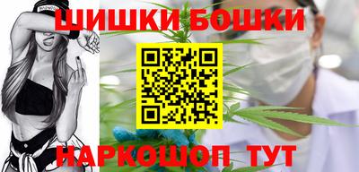 шишки Гатчина