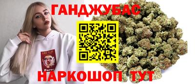 шишки Гатчина