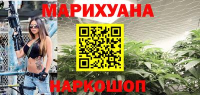 прущие крисы Гай