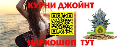 шишки Гатчина