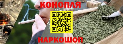 шишки Гатчина