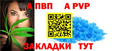 прущие крисы Гай