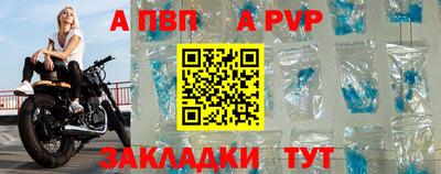 шишки Гатчина