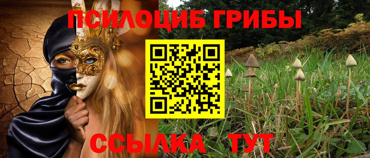 Псилоцибиновые грибы Psilocybe  Каменка  Галлюциногенные грибы MAGIC MUSHROOMS 