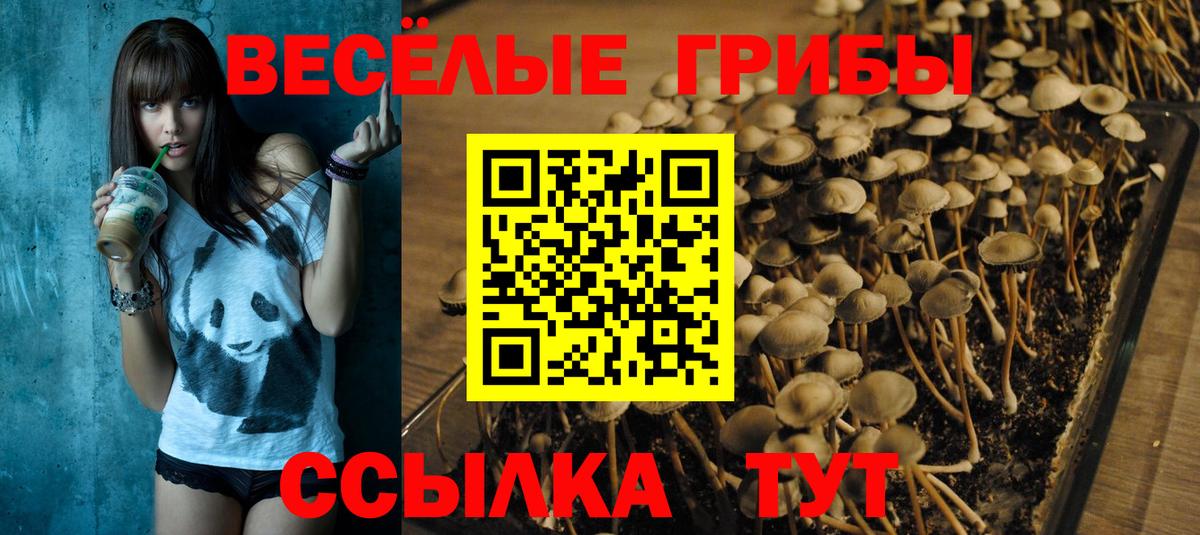 Псилоцибиновые грибы мухоморы  Вход с VPN  Галлюциногенные грибы Psilocybine cubensis  Каменка 